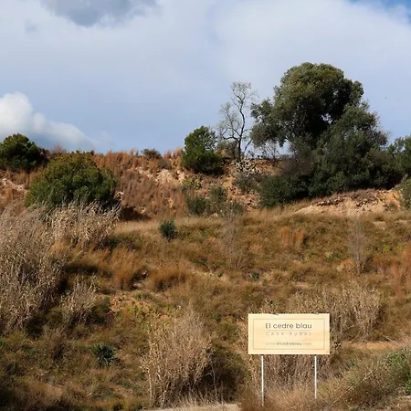 El Cedre Blau Vivienda Con Piscina En Tatil Evi
